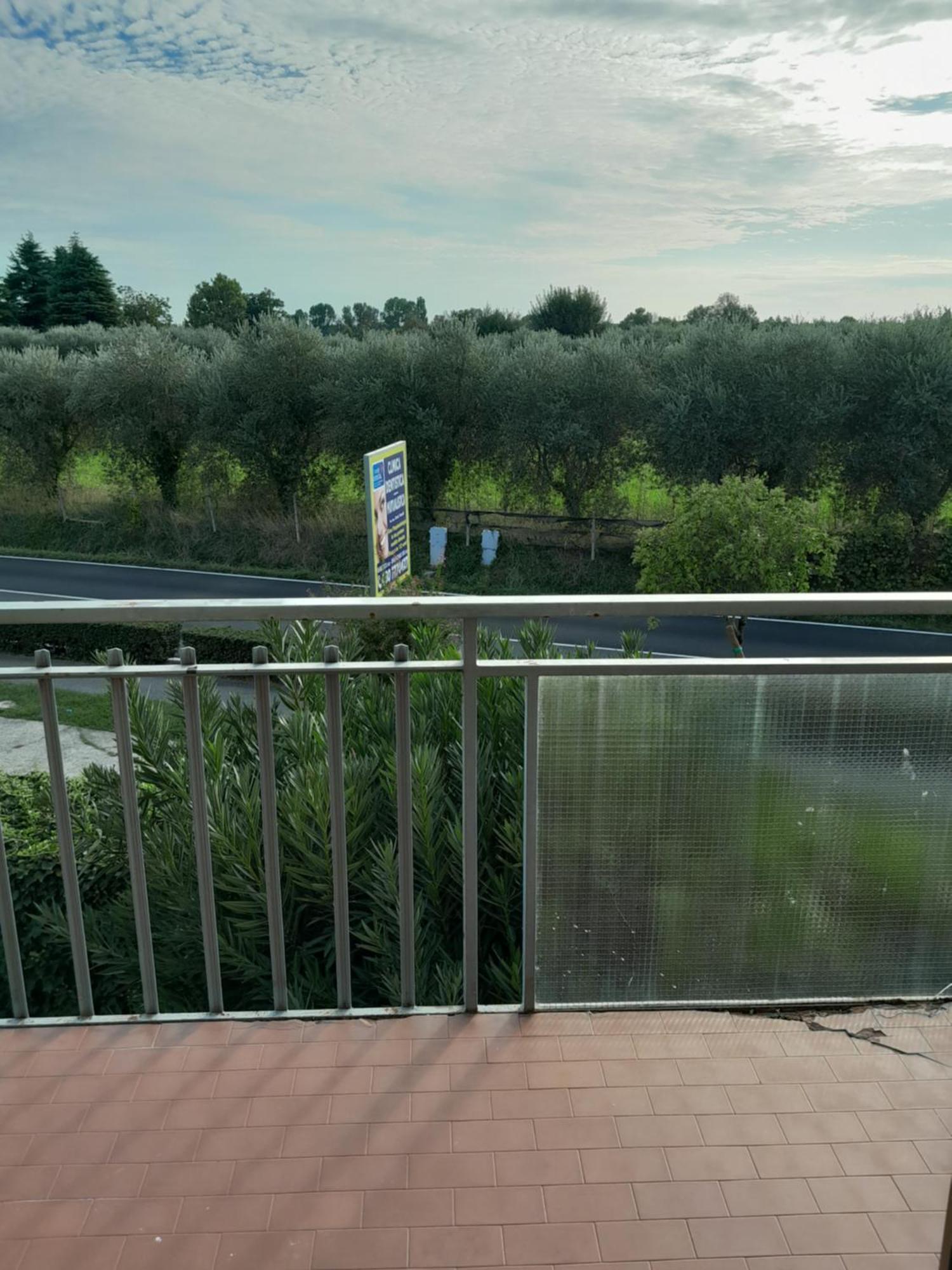 デセンツァーノ・デル・ガルダCasa Dell' Ulivoアパートメント エクステリア 写真
